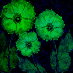 flowers watercolor artwork on a black background, hand drawn illustration, creative artwork