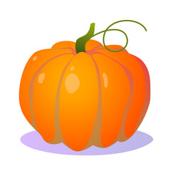 Bright vector illustration of pumpkin for your designs. Cute juicy style. Halloween pumpkin for cards, invitations and posters on transparent background.