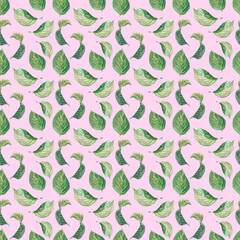 Watercolor seamless patterns with blooming hydrangea branches. Bright inflorescences