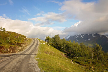 Amazing nature view from mount Hoven, splendid landscape picture over Nordfjord from Loen skylift