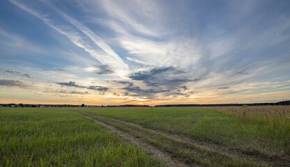 Evening landscape, sunset in the field. Rural agriculture in the evening light.
