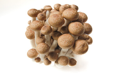 Fototapeta na wymiar Brown beech mushrooms or Shimeji mushrooms isolated on white background.