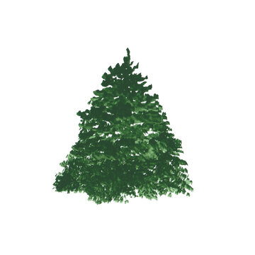 Watercolor Christmas tree isolated on a transparent background. Watercolor evergreen plants. Scotch fir illustration. Christmas tree clipart. Landscape scene objects. Hand-drawn green pine tree.