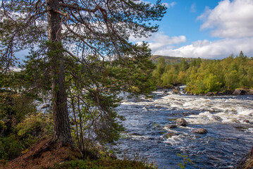 Fototapeta na wymiar River landscape in Lapland Finland