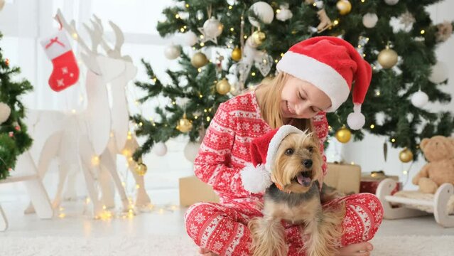 Child girl with dog terrier wearing red Santa hats near to Christmas tree in New Year time. Pretty kid with doggy pet in decorated room