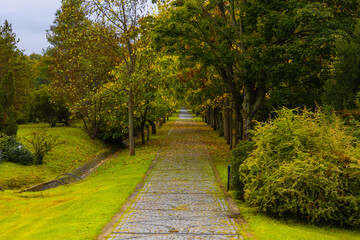 Park at the autumn. Fall background photo. Road in the park