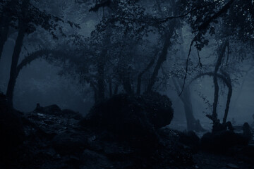 Night view of misty forest infested by ghost