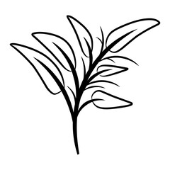 Hand drawn flowers, leaves, twigs, plants isolated on white. Vector illustration in sketch style.