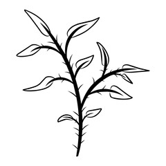 Hand drawn flowers, leaves, twigs, plants isolated on white. Vector illustration in sketch style.