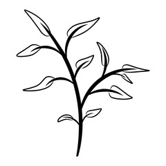 Hand drawn flowers, leaves, twigs, plants isolated on white. Vector illustration in sketch style.