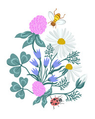 Vector floral composition. Summer blooming plants. Insects. Clover, camomiles, bells. Ladybird, bee.