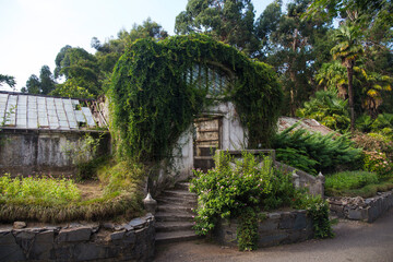 Fototapeta na wymiar Abandoned old house with ivy