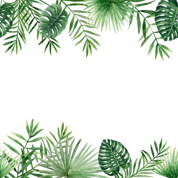 Green palm leaves seamless border. Tropical twigs, branches. Jungle florals. Watercolor free-hand illustration for postcard, invitation, banner, event flyer, poster, presentation, menu, lifestyle