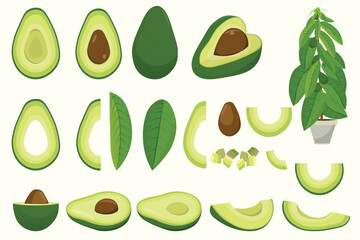Cartoon avocado. Ripe avocado fruits, healthy nutritious natural food and avocado slices flat vector illustration set. Green avocado, tropical healthy food, healthy food exotic
