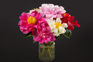 Bouquet of multi-colored peonies on an isolated on a black background.