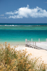 A jetty on an white sandy beach, plants in foreground. Turquoise water, blue sky with white clouds on the horizon in Western Australia