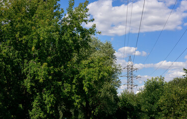 Electrical network of poles on blue sky and surrounded by green bushes and trees. High quality photo