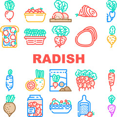 radish food organic vegetable icons set vector. healthy plant, garden nature, red ripe ingridient, natural root, vitamin nutrition radish food organic vegetable color line illustrations
