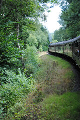 Steam Locomotive and Train in Forested Countryside 