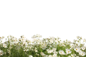 Zelfklevend Fotobehang Realistic flowering plants foreground isolated © parinya