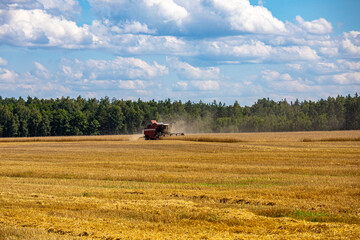 Agricultural landscape. Combine harvester working in a wheat field.