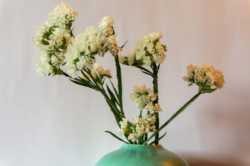 Dried flowers in the round turquoise ceramic vase. Front view. Copy space