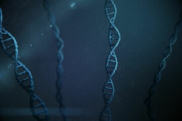 View of dna