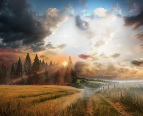 Foto op Canvas Country scene © vectorfusionart