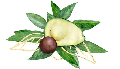 Hand drawn watercolor illustration avocados