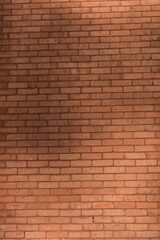 Full fame of brick wall
