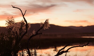 Fototapeta premium Lake at sunset