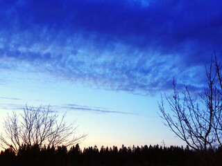 Obraz premium Night background of nature, bright colors and outlines of forests and fields