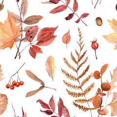 Watercolor hand drawn seamless pattern with autumn leaves and berries