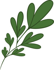 Fototapeta na wymiar organic leaves for template creation elements