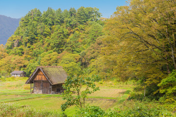 Obraz premium 白川郷 白川村 合掌集落 風景 世界遺産 古民家