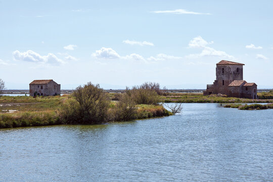 valli di comacchio