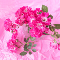 Pink roses on pastel pink background.Festive Flower card, selective focus,toned, Blur,