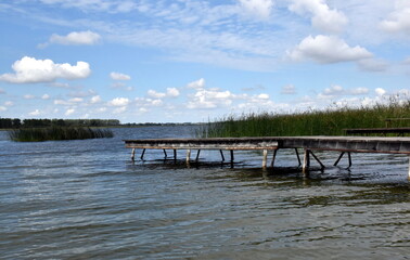 Fototapeta premium Holzsteg im Oberuckersee im Sommer