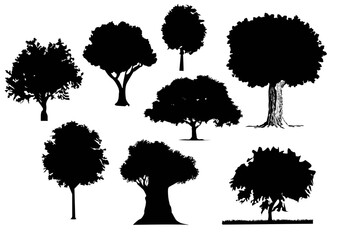 Oak Tree Design, Oak Tree Vectors, Oak Tree Cut files, Svg, Tree Svg, Oak Tree SVG - EPS - Ai files - Print Ready Editable Cut files
