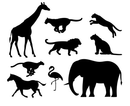 Vector set of flat african wild animals silhouette isolated on white background