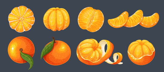 Mandarin set vector illustration. Cartoon isolated whole sweet citrus fruit, orange twist peel, tropical clementine with leaves on tree branch, fresh mandarin in slices and cut in half