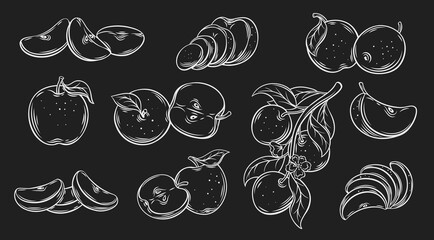 Apple outline icons set, white on black line healthy fruit vector illustration. Fresh organic whole apple with leaf and cut in half with seeds, pieces and slices of sweet vitamin snack, tree branch