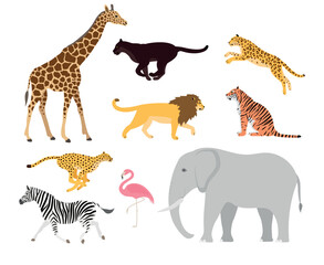 Vector set of flat african wild animals isolated on white background