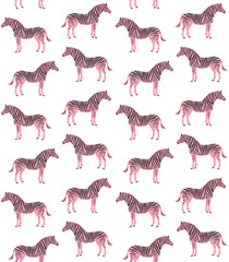 Vector seamless pattern of pink flat zebra isolated on white background