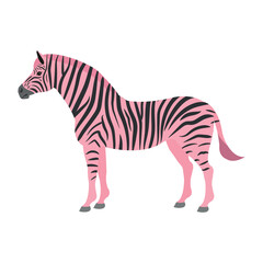 Fototapeta na wymiar Vector flat pink zebra isolated on white background