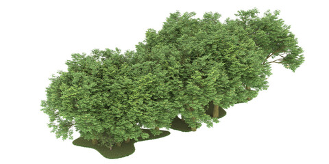 Obraz premium Forest on transparent background. 3d rendering - illustration