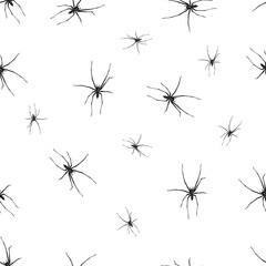 seamless pattern. Black spiders on a white background