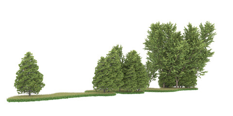 Fototapeta premium Forest on transparent background. 3d rendering - illustration