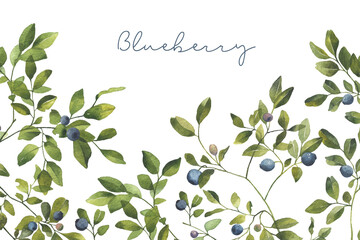 Blueberry leaves branches with berries. Watercolor illustration isolated on transparent background. . Greenery clipart for wedding invitation, greeting cards, decoration, stationery - 528672579