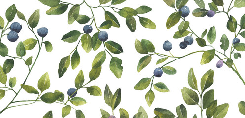 Blueberry leaves branches with berries. Watercolor pattern isolated on transparent background. Great for wedding invitation, greeting cards, decoration, stationery